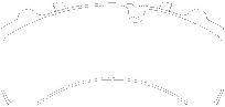 DA06 Disc Brake Pad